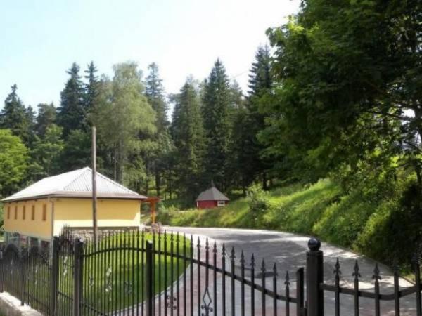 Apartamenty Pokoje Przy Wyciagu 717 卡尔帕奇 外观 照片